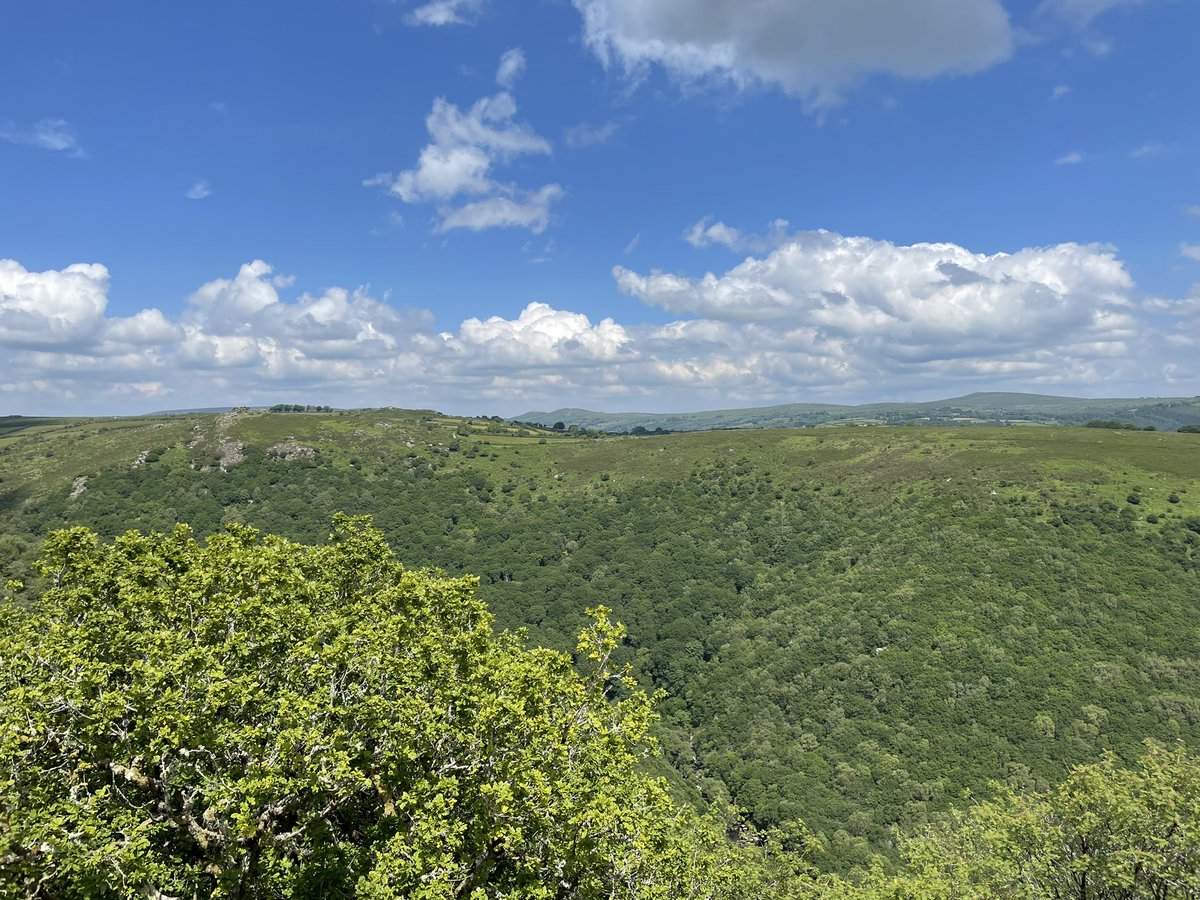 Busby’s Bookkeeping Services tweet media