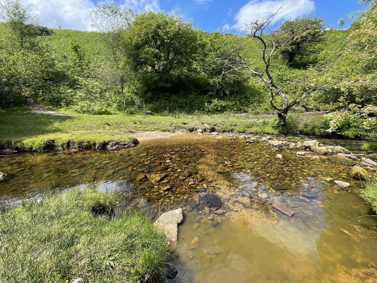 Busby’s Bookkeeping Services tweet media