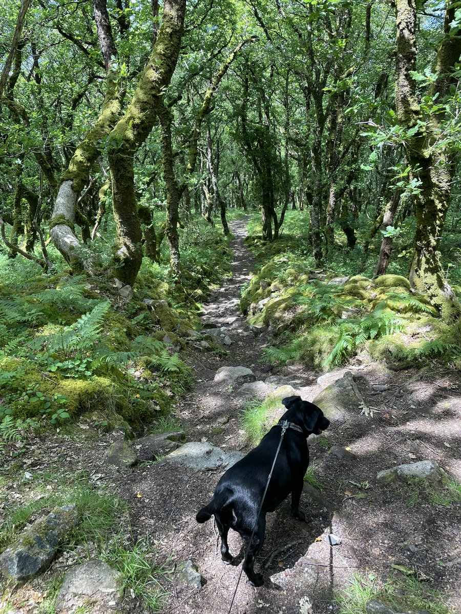 Busby’s Bookkeeping Services tweet media