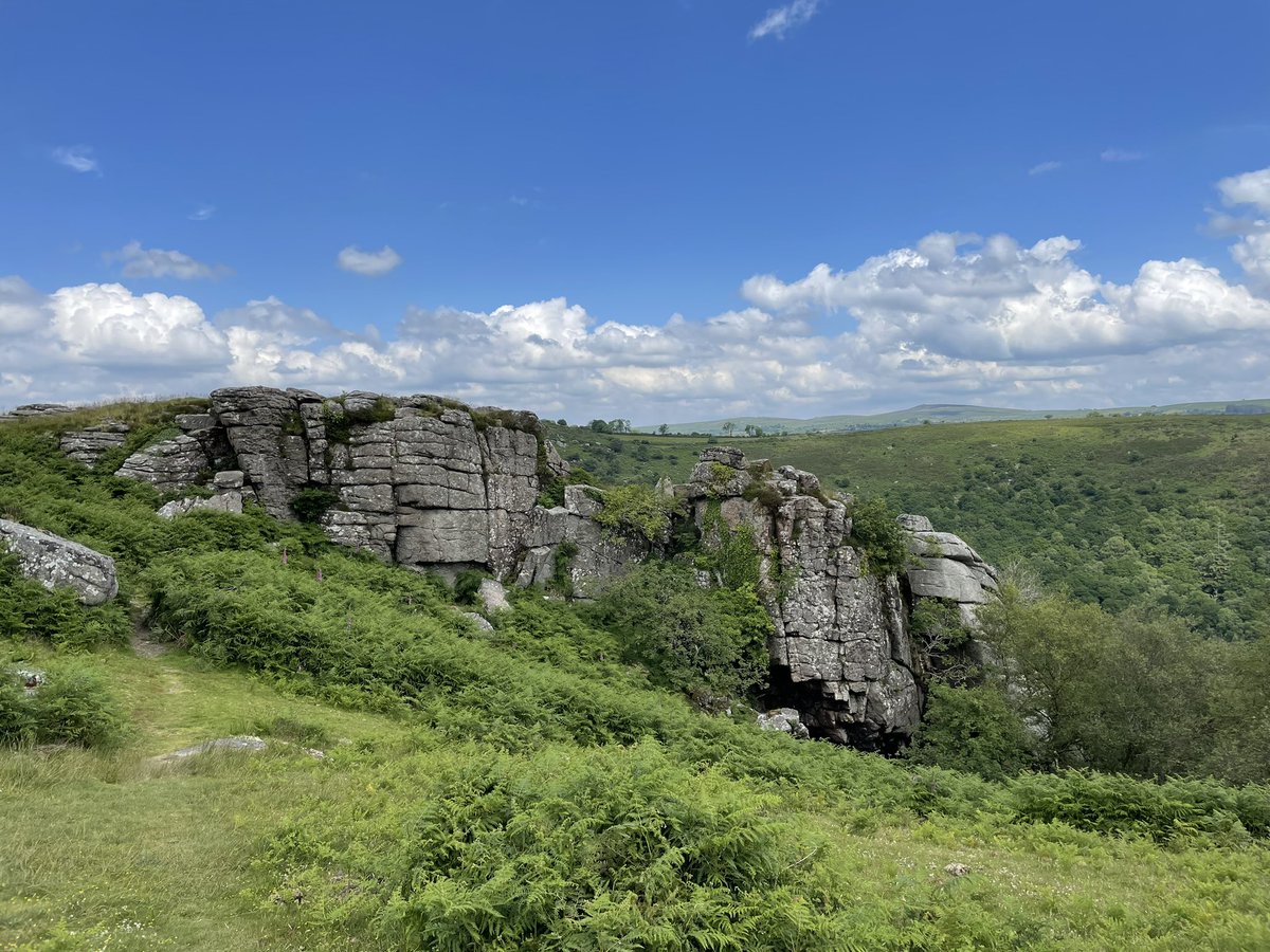 Busby’s Bookkeeping Services tweet media