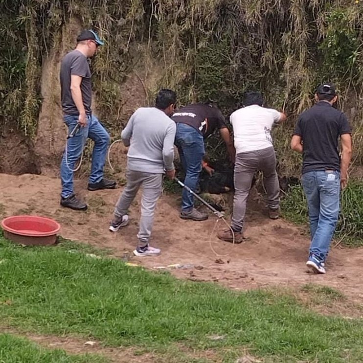 DefensoresAn's tweet photo. #Quito Les preguntamos si saben o no saben quiénes fueron los veterinarios de la @UBAQuito que mataron los animales del albergue de Conocoto? Alcalde @pabelml   Dra @MarysolRuilova. Es INAUDITO que haya un GDO en sus filas. La ciudadanía aguarda respuestas contundentes https://t.co/3UstSuHrzA