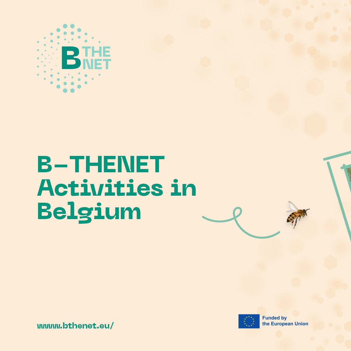 BTHENETProject's tweet photo. Busy months at our National B-THENET Centre in Belgium! 🇧🇪

🐝 Honeybee Valley at Ghent University hosted #seminars and #workshops with 1️⃣2️⃣4️⃣ participants, including 8 young #beekeepers.
Building knowledge and skills for sustainable #beekeping ✍️

@HorizonEU https://t.co/Kql1PRHEvd