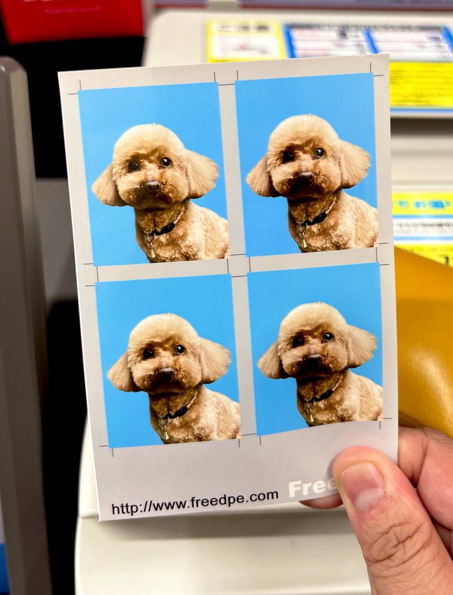 オーダー受付 foot prints わんこ ご予約ページ 8/1 オーダー受付 foot