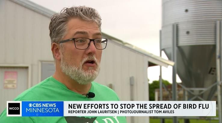 As turkey farmers take action to protect their flocks from migratory birds carrying the H5N1 avian influenza, MN state officials are taking additional steps to protect livestock after some cows in the state tested positive.

Read more about it here: cbsnews.com/minnesota/news…
