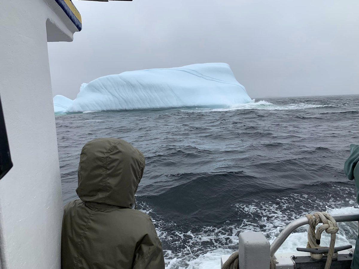 BattleHarbour's tweet photo. Icebergs are just part of the trip when you go to Battle Harbour.
#iceberg #icebergfinder #newfoundlandandlabrador #newfoundland #icebergalley #BattleHarbour #staycationNL #explorenlr #explorecanada #cbcnl #NTVNews #expedition51 https://t.co/7OT9UyhTJd