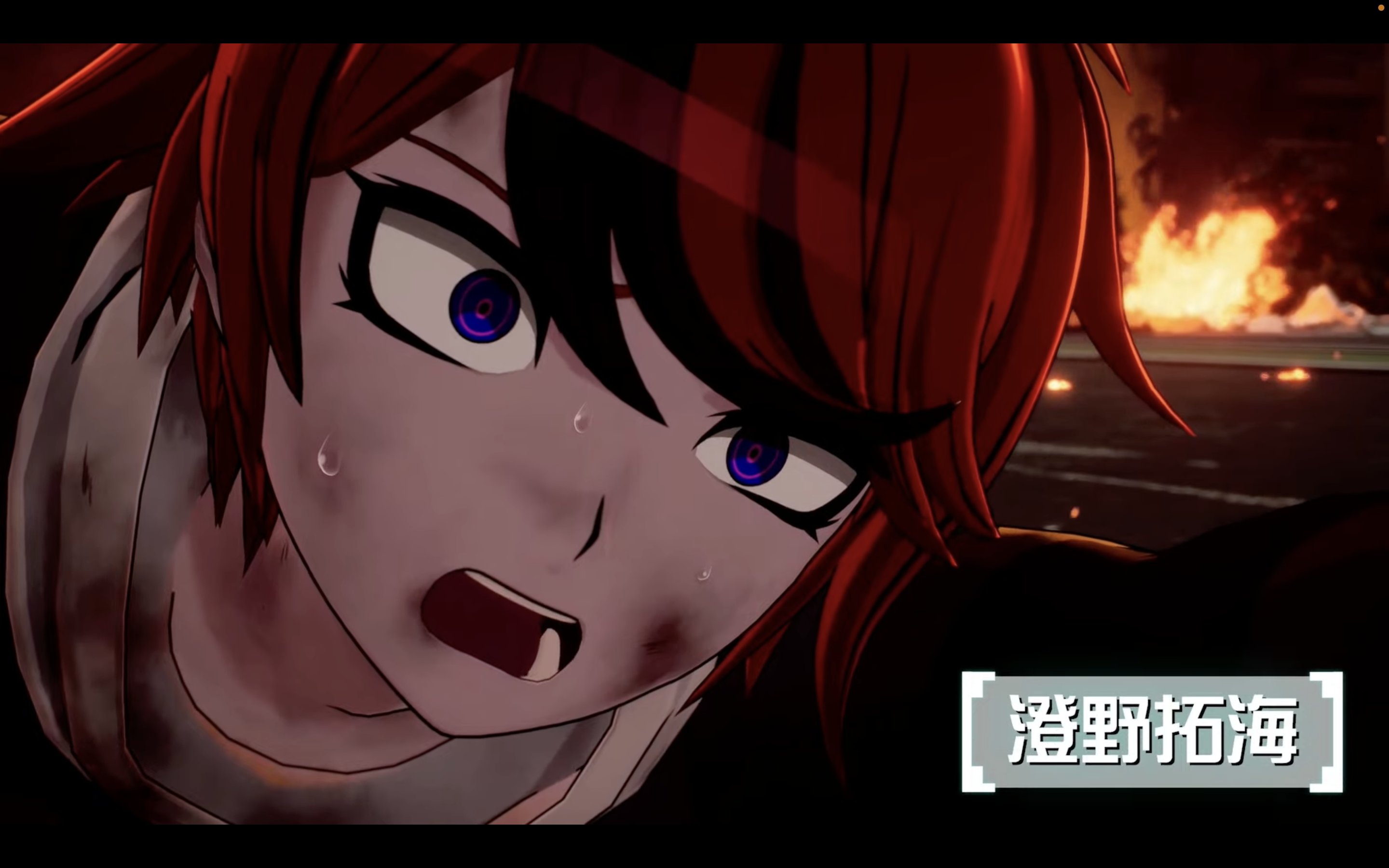 ニンティクの研究―ロンチェンパの思想を中心に【本】 ニンティクの研究: ロンチェンパの思想を中心に | 安田章紀 |本