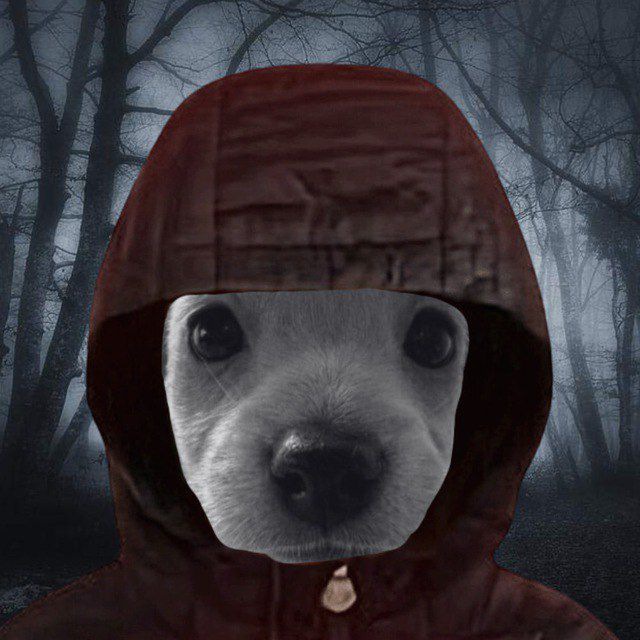 Mike Majestic tweet media