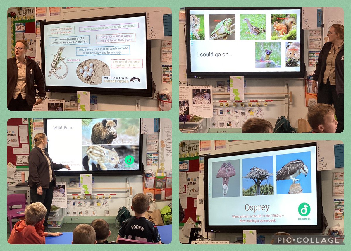 Mrs King introduced us to the work of the Durrell Trust and how they work towards protecting and reintroducing endangered species.