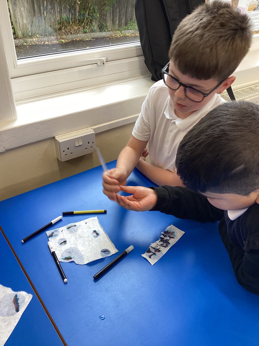 Scientists turned detectives this afternoon! 🕵️‍♂️🕵️‍♀️

Science Club were tasked with solving the crime of the kittynapped kitten who was being held for ransom.

Children used chromatography to identify the pen used on the ransom note and identified the prime suspect! 🖊️