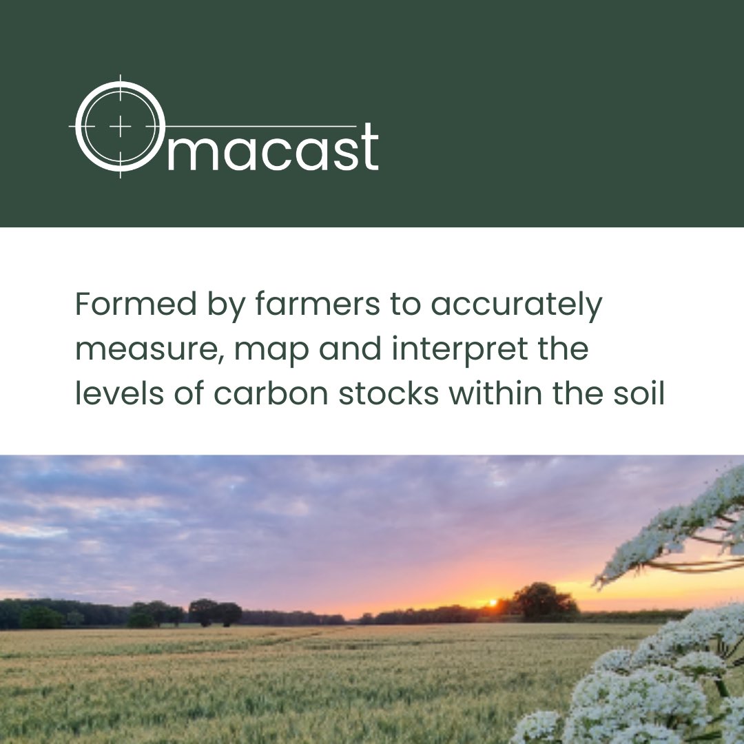 Omacast Ltd tweet media