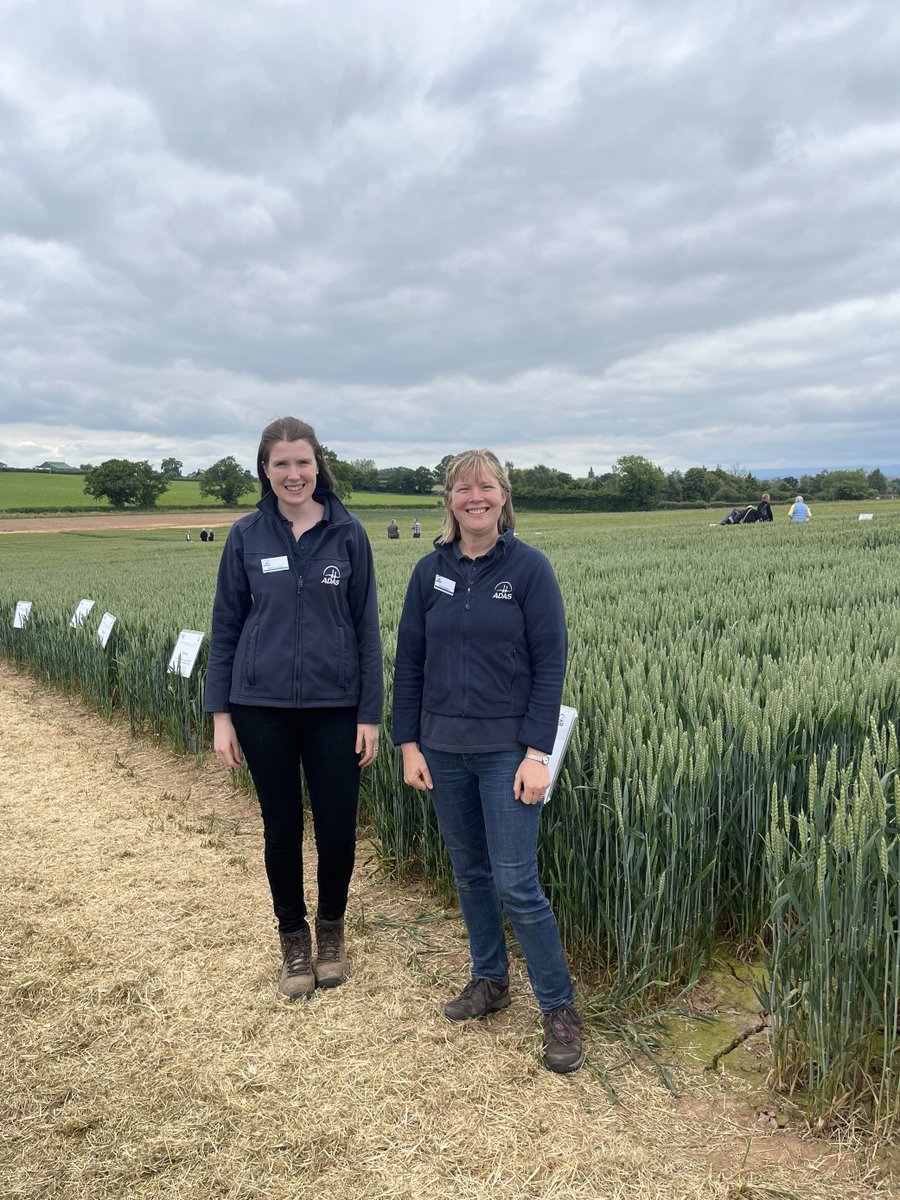 ADASGroup's tweet image. What a success! ⭐️

Our @ADASRosemaund open day has been huge hit 🥳

A massive thank you to all those who attended and to @AHDB_Cereals for their support❤️