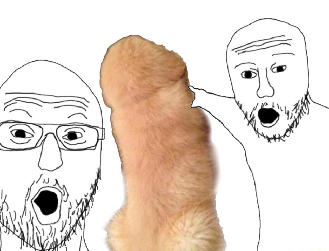 ever seen a $WILLY this cute?