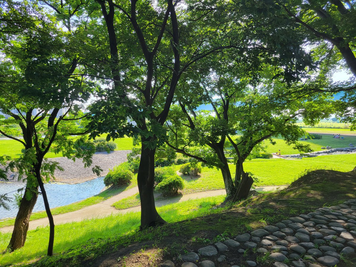 dovv_s's tweet photo. 日曜日☀ https://t.co/sDbNPBdSdY