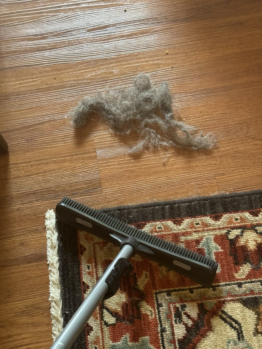 THE RUG SCRAPERS WORK NEW WORKOUT ROUTINE JUST DROPPED ILL DO THE HALLWAY OF THE BUILDING TOO IDC