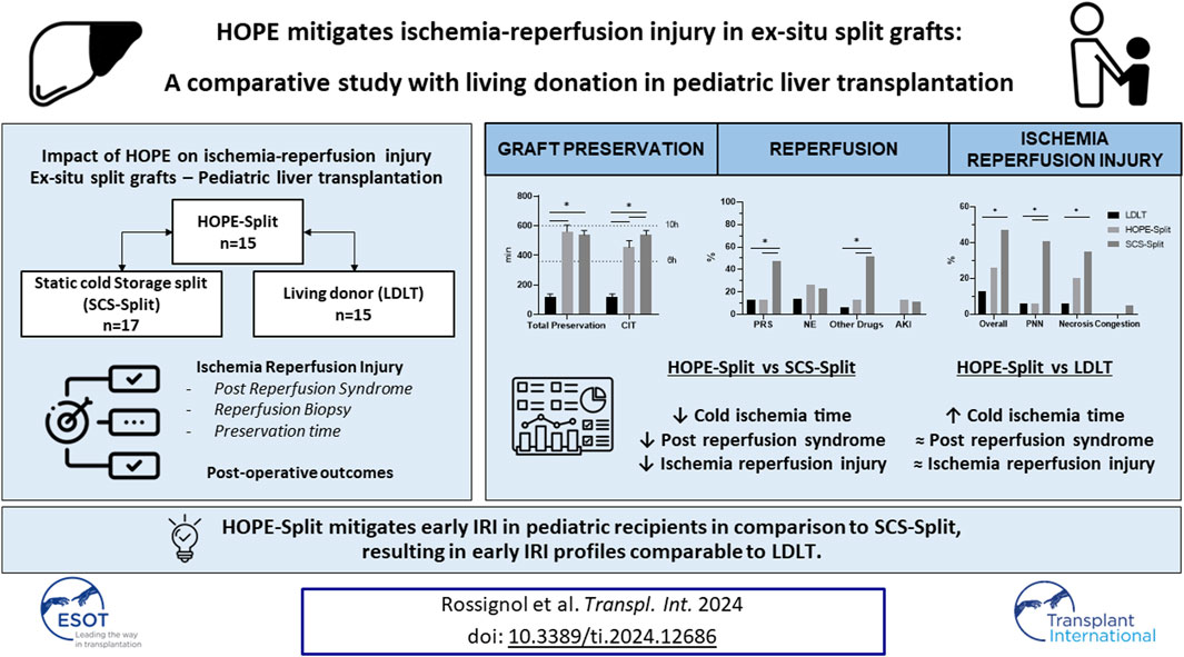 BridgetoLifeLTD's tweet photo. HOPE for the Week: HOPE Mitigates Ischemia-Reperfusion Injury in Ex-Situ Split Grafts: A Comparative Study With Living Donation in Pediatric Liver Transplantation
#HOPEForTheWeek #LiverTransplantation #MachinePerfusion #PediatricTransplant
https://t.co/0ZgCYVtxrn https://t.co/pJwDqzvrEO