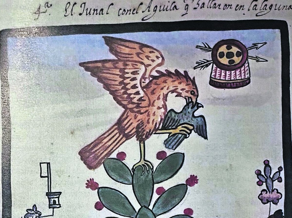 Tras el origen del símbolo del águila con la serpiente sobre un nopal  https://t.co/dzYhPO76xt, image size:1200x894