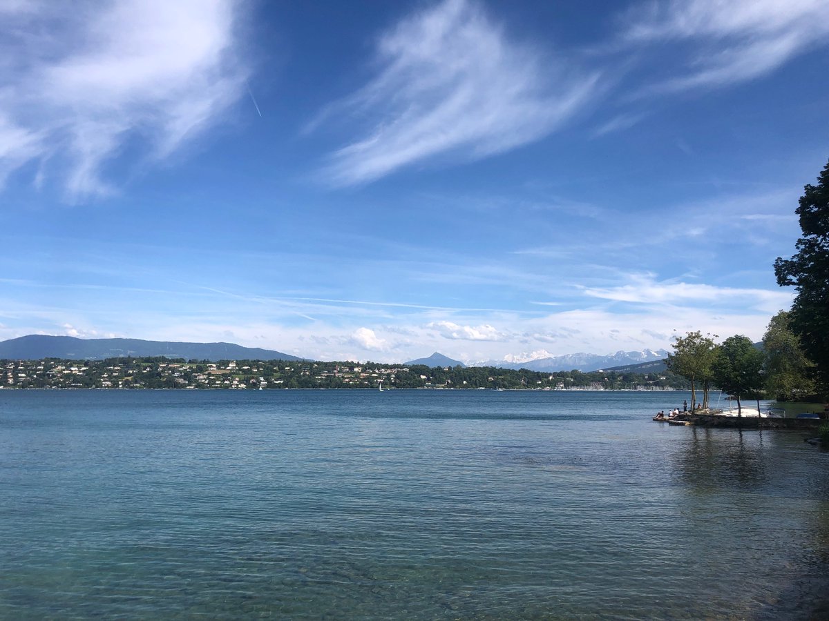 Sam Scott tweet media