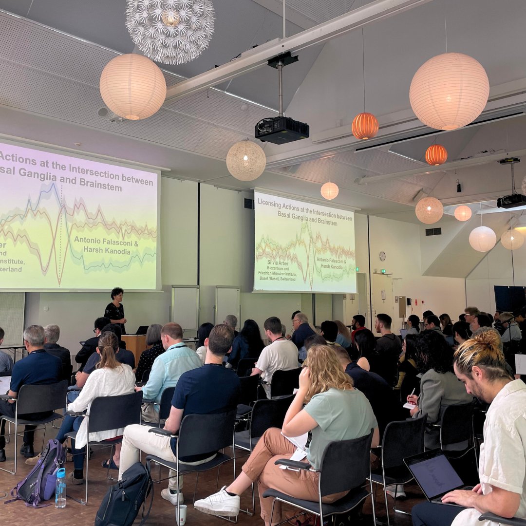 FENSorg's tweet photo. 🧠 #BrainConference Circuits for  Movement: Day 2 Wrap-Up!

🏃‍♂️ This conference explores how different cell types are organised into specific networks that contribute to motor function from microcircuits to the systems level.

#FENS @Lundbeckfonden @KiehnLab @BrainPrize https://t.co/9OHWwu5pw0