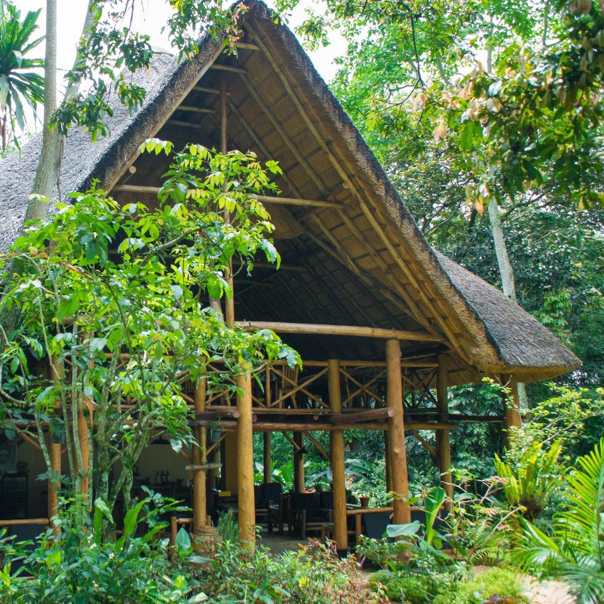 We love the natural world as much as you do. 🌍 "Sticking to ‘taking only photographs and leaving only footprints’ enhances the positive contribution conscious travel can make to conservation.” says Travel Expert, Derek. Read more in our latest blog. bit.ly/ResponsibleRai…