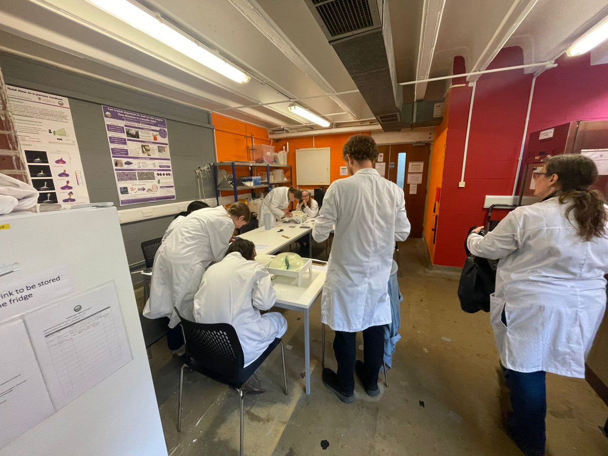 Some photos from our analogue modelling workshop where they're using jelly experiments to observe VIPS! 🌋