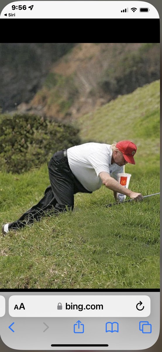 Can he lead the country crawling for golf balls another 4 years, &amp; feasting on McDonalds?