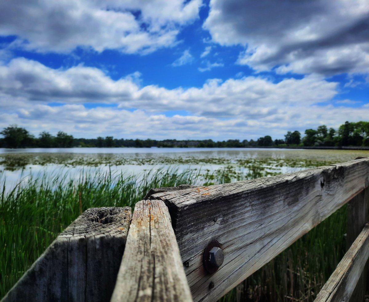 I am (@madeofpoems) on Twitter photo 