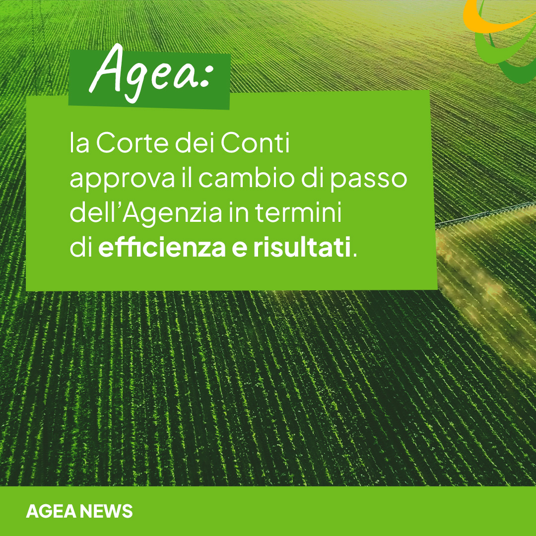 Agea_gov (@agea_gov) on Twitter photo #Agea: la <a href="/CorteContiPress/">Corte dei conti</a> approva il cambio di passo dell’Agenzia in termini di #efficienza e #risultati.
➡Scopri di più: bit.ly/3VIIK5r #Agea: la <a href="/CorteContiPress/">Corte dei conti</a> approva il cambio di passo dell’Agenzia in termini di #efficienza e #risultati.
➡Scopri di più: bit.ly/3VIIK5r