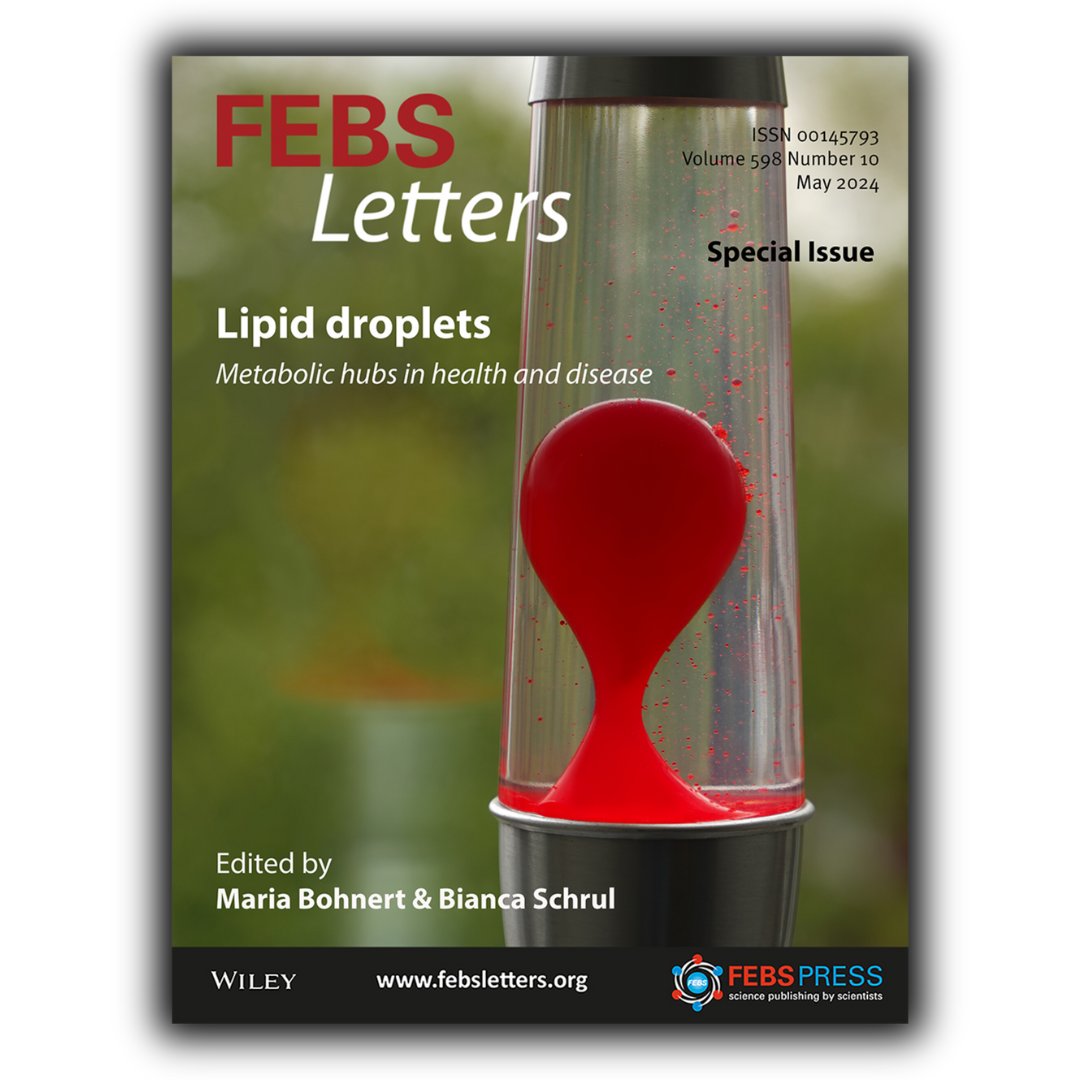 FEBS Letters (@febs_letters) on Twitter photo Don’t miss our latest Special Issue, on Lipid Droplets! Free to read and featuring 16 Reviews on LDs in health and disease #LipidDroplets #Lipids
<a href="/MariaBohnert/">Maria Bohnert</a> <a href="/BiancaSchrul/">Bianca Schrul</a>
bit.ly/3RwhPr0 Don’t miss our latest Special Issue, on Lipid Droplets! Free to read and featuring 16 Reviews on LDs in health and disease #LipidDroplets #Lipids
<a href="/MariaBohnert/">Maria Bohnert</a> <a href="/BiancaSchrul/">Bianca Schrul</a>
bit.ly/3RwhPr0