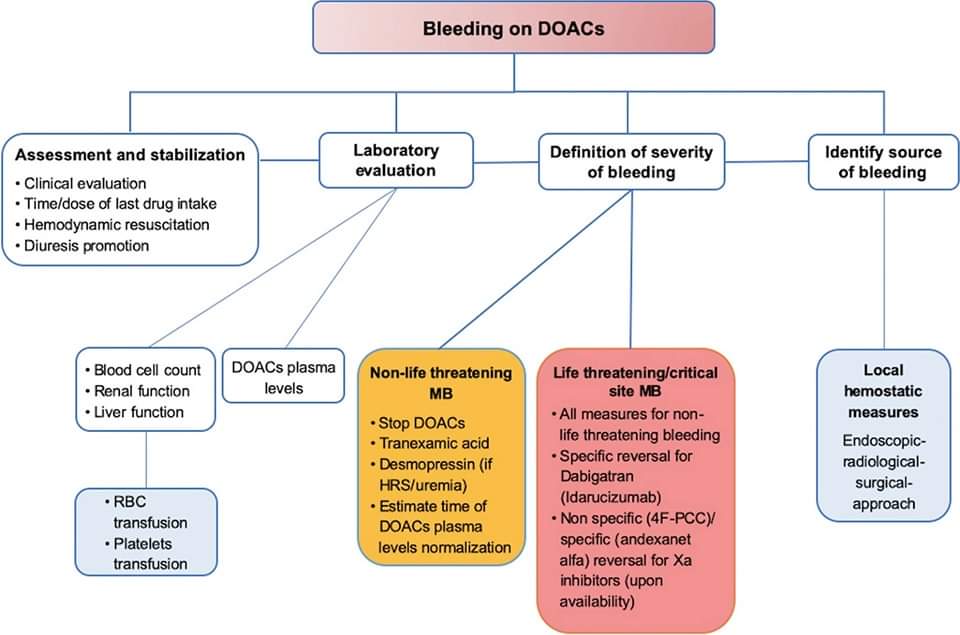 ZHeart11768530's tweet image. 🔴 Risk and Management of Bleeding Complications with #DOACs in Patients with #AF &amp;amp; #VTE: #2023Review #openaccess 

🔸link.springer.com/article/10.100…
 #cardiotwitter #FOAMed  #paramedic  #MedEd #Cardiology #MedX #paramedicstudent #cardiovascular #cardiotwiteros #CardioEd #CardioTwitter