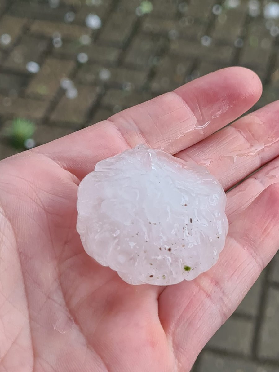 Mega Hagel !! Davor haben wir gewarnt.. 
Bestimmt 5 cm Durchmesser. 
Aus 98646 #Hildburghausen von Sandra

<a href="/Kachelmannwettr/">Kachelmannwetter</a>
<a href="/sturmwetter1703/">Sturmwetter</a>
<a href="/WetterOnline/">wetteronline.de</a> 
#hagel #unwetter #gewitter #megahagel