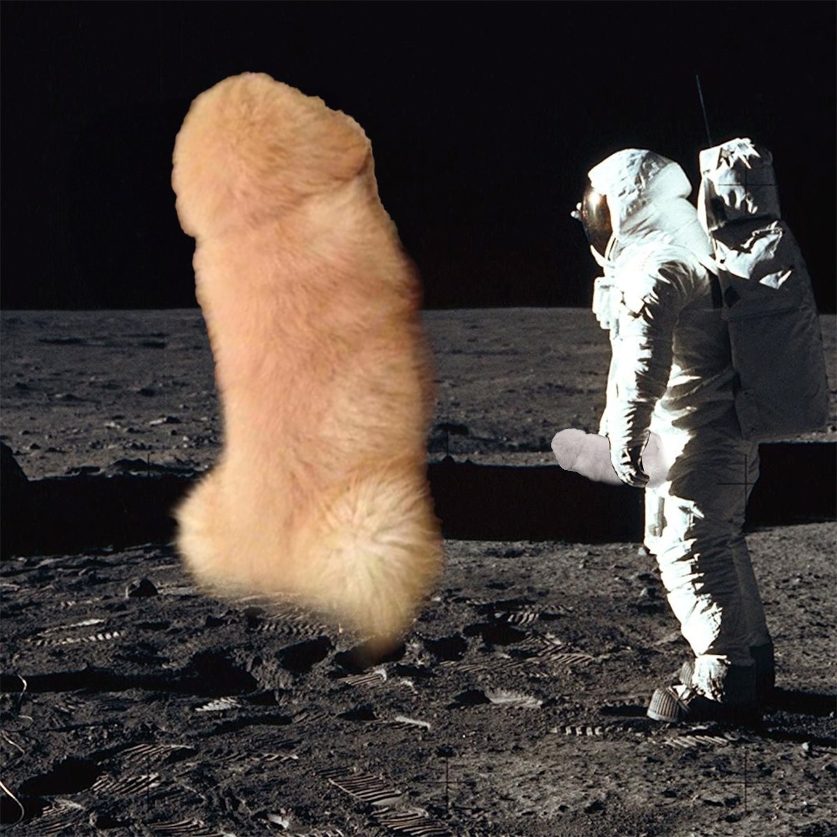 $Willy CTO tweet media