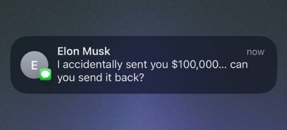 Not Elon Musk tweet media