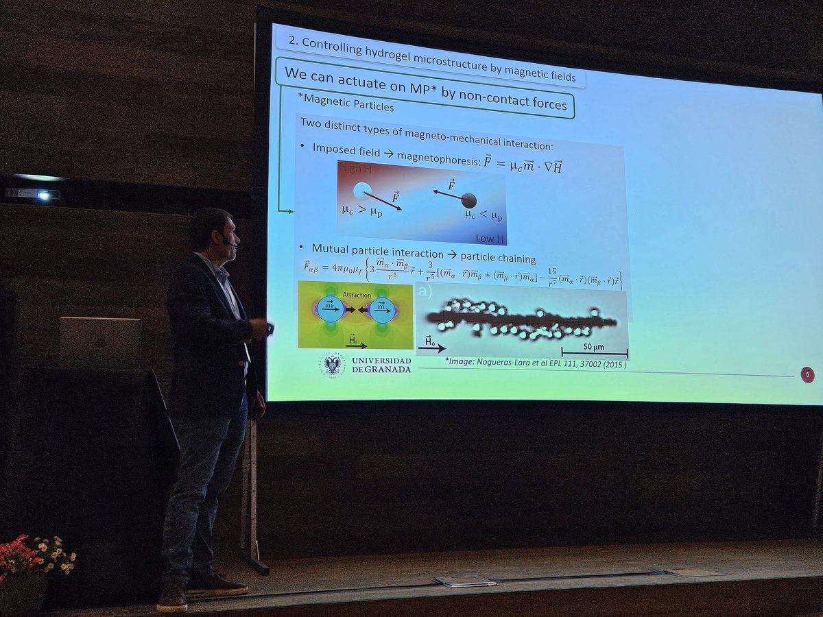 Magmeeting2024 tweet media