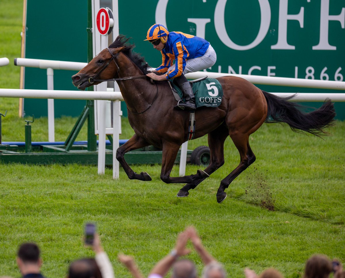 JackkHallam's tweet photo. Henry Longfellow with the 2nd place✅
🟠🔵
Thank you very much, easiest money ever💷💷💷💷
#Betfair #Betfairboost #Horseracingtips #RoyalAscottips #royalascot2024 #Racingtips #Henrylongfellow #Ascot https://t.co/MIp3VgAvG5