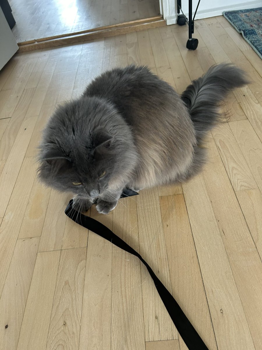 oh no. 🔞 tweet media