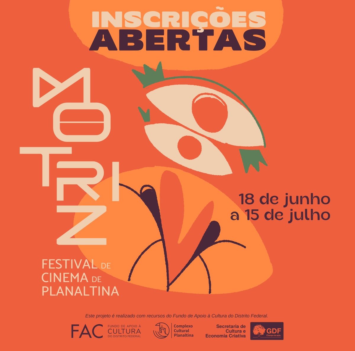 Motriz - Festival de Cinema de Planaltina tweet media