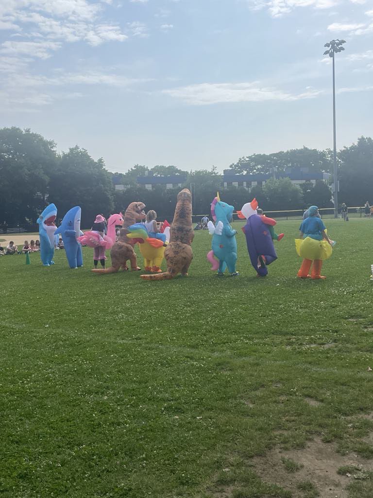 Paul D'Alleva tweet media