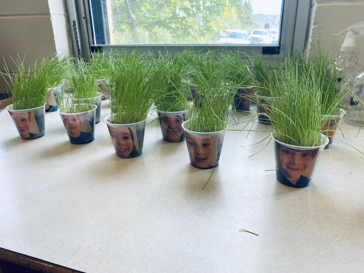 Ms. Kent tweet media