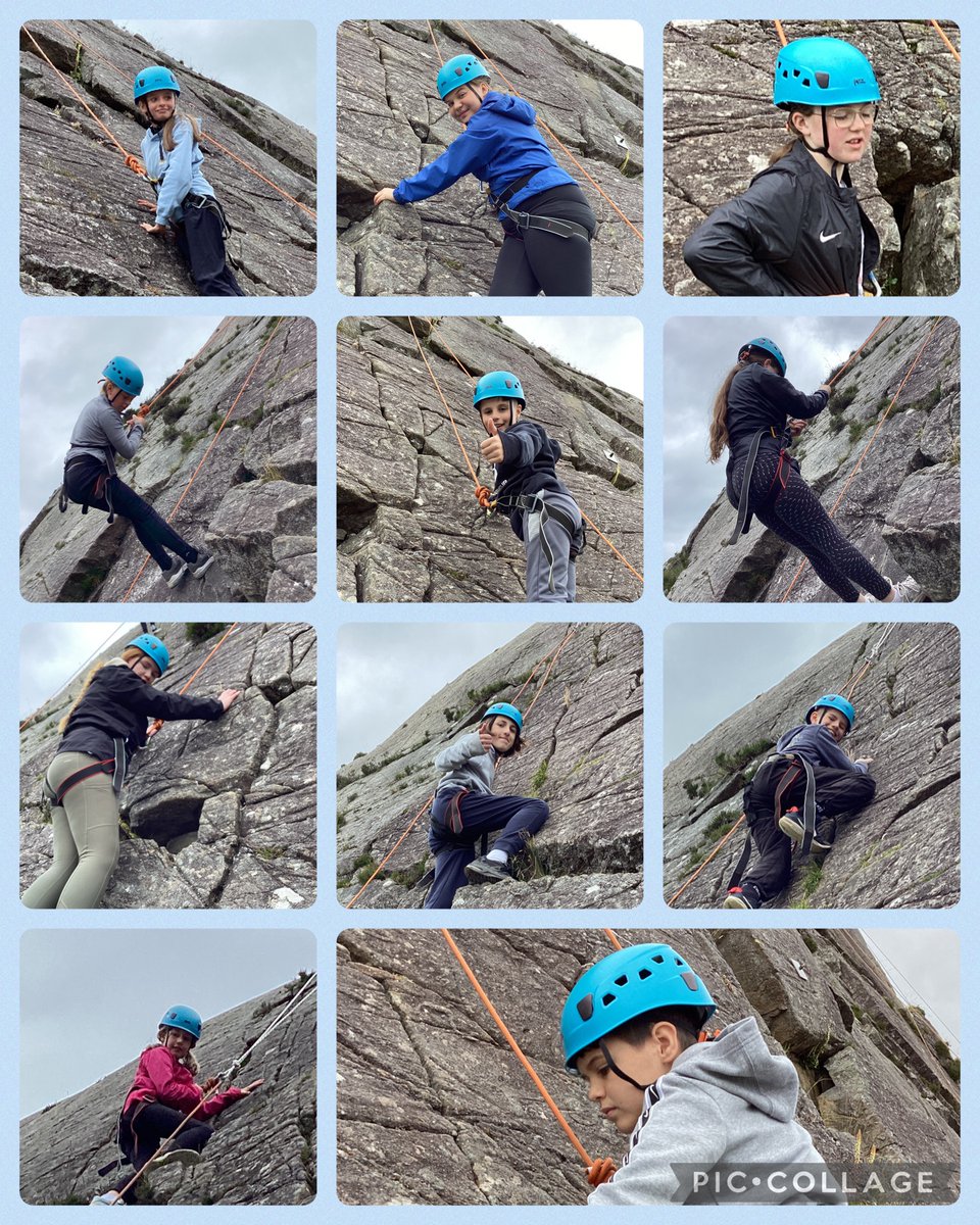 Ladymount Primary tweet media