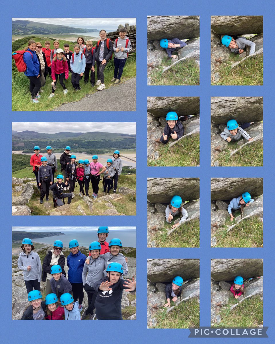 Ladymount Primary tweet media