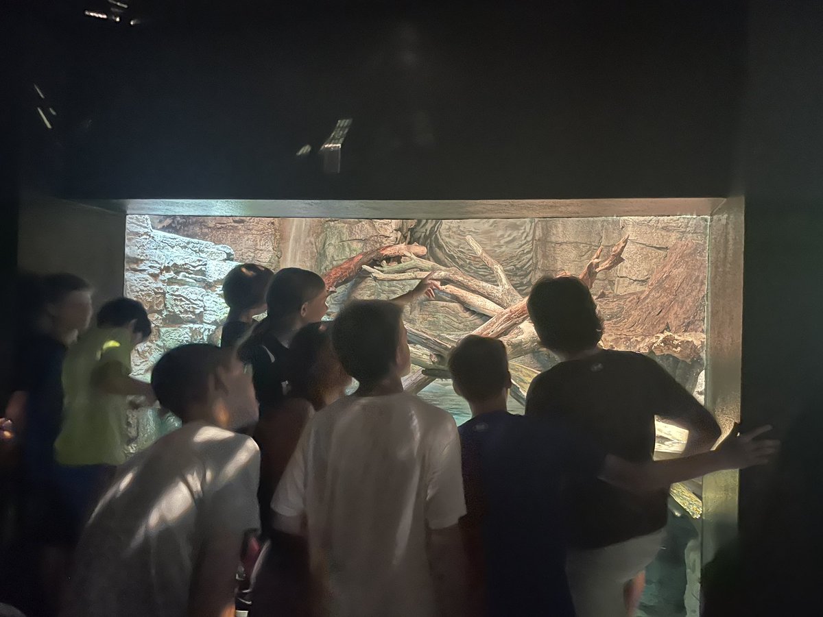 Mme Rhamey-Bennett tweet media