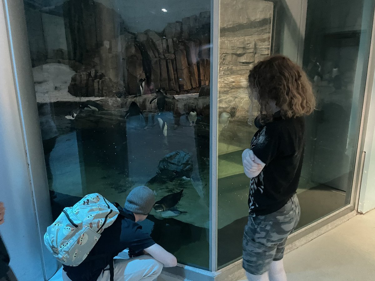 Mme Rhamey-Bennett tweet media