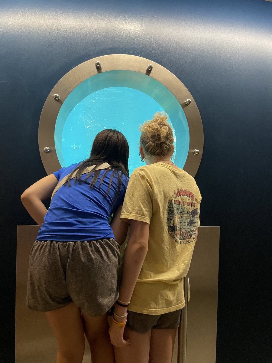 Mme Rhamey-Bennett tweet media