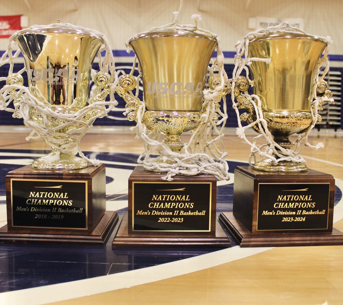 Coachhammett's tweet image. Where Else Can You Reach The Top, Then Reach It Again, Then Reach Even Higher. 

Penn State Wilkes-Barre Is Where!

Home Of The Three Time National Champions! 
#PSWBHoops #NattyChamps