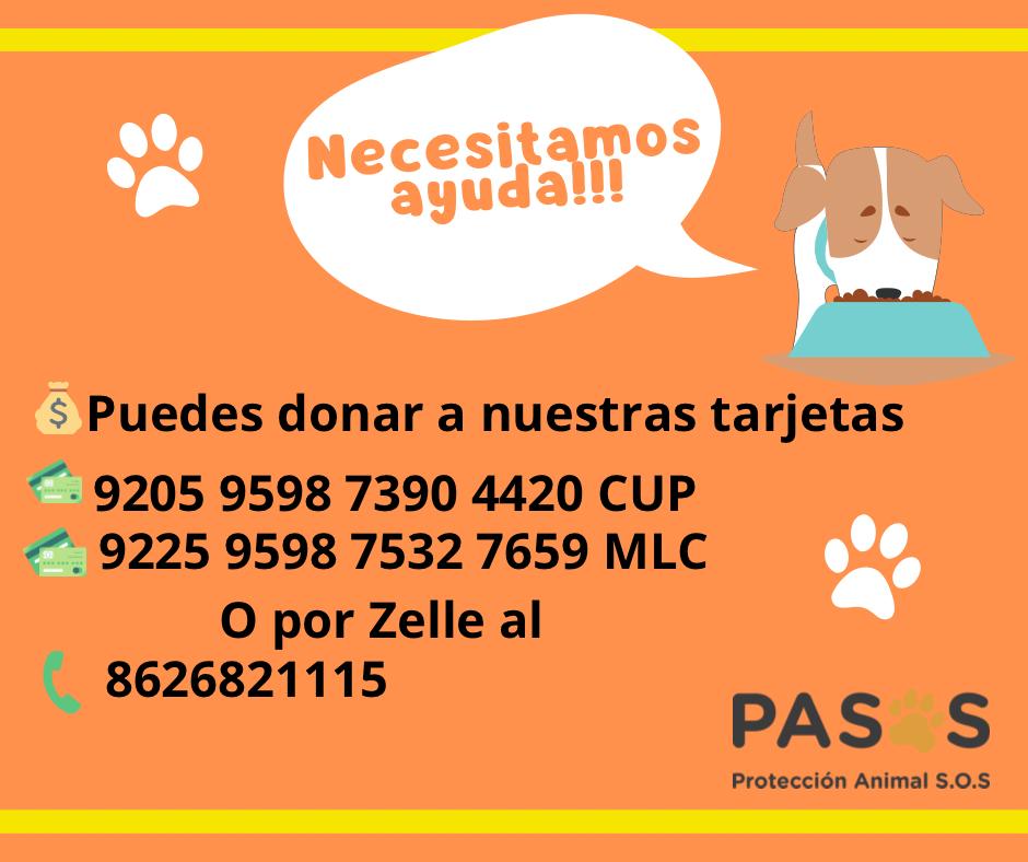Protección Animal SOS- PASOS🐾 tweet media
