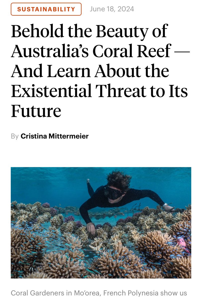 Coral Gardeners (@coral_gardeners) on Twitter photo Reefs are in crisis worldwide and we must work together to save the corals in time. Read our ambassador <a href="/cmittermeier/">Cristina “Mitty” Mittermeier</a>’s article to learn more on what’s being done and how to help: katiecouric.com/news/sustainab… #oceanconservation #coralcrisis Reefs are in crisis worldwide and we must work together to save the corals in time. Read our ambassador <a href="/cmittermeier/">Cristina “Mitty” Mittermeier</a>’s article to learn more on what’s being done and how to help: katiecouric.com/news/sustainab… #oceanconservation #coralcrisis