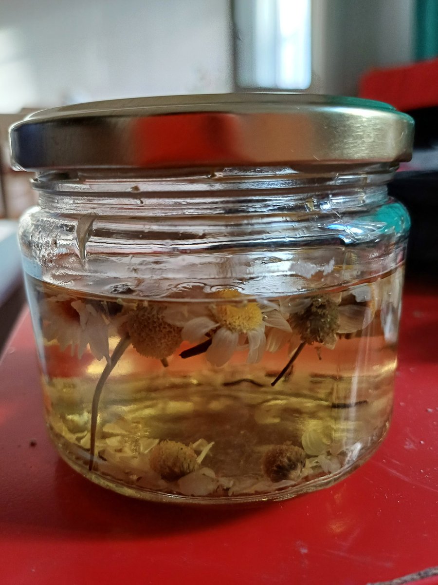 Tombi ile yürürken bir teyze onunla ilgilenip hikayesini sordu. Anlattım kisaca cok duygulanıp ağlayınca karşılıklı ağlarken bulduk kendimizi. Göz akmasına papatya suyu iyi gelir deyip bi kosu eve gidip getirdi. Biz papatya ile aglarken tabi ki tombi hav huv :)