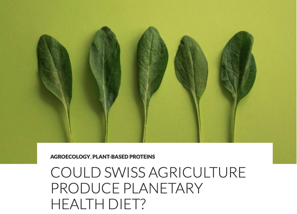 The registration for the autumn 2024 for the seminar Sustainable Plant Systems is open at MyStudies (ETH Zürich and University of Zürich) or Mona (University of Basel). ethz.ch/staffnet/en/se… Get inspired by blog posts of former participants. #SciencePolicy