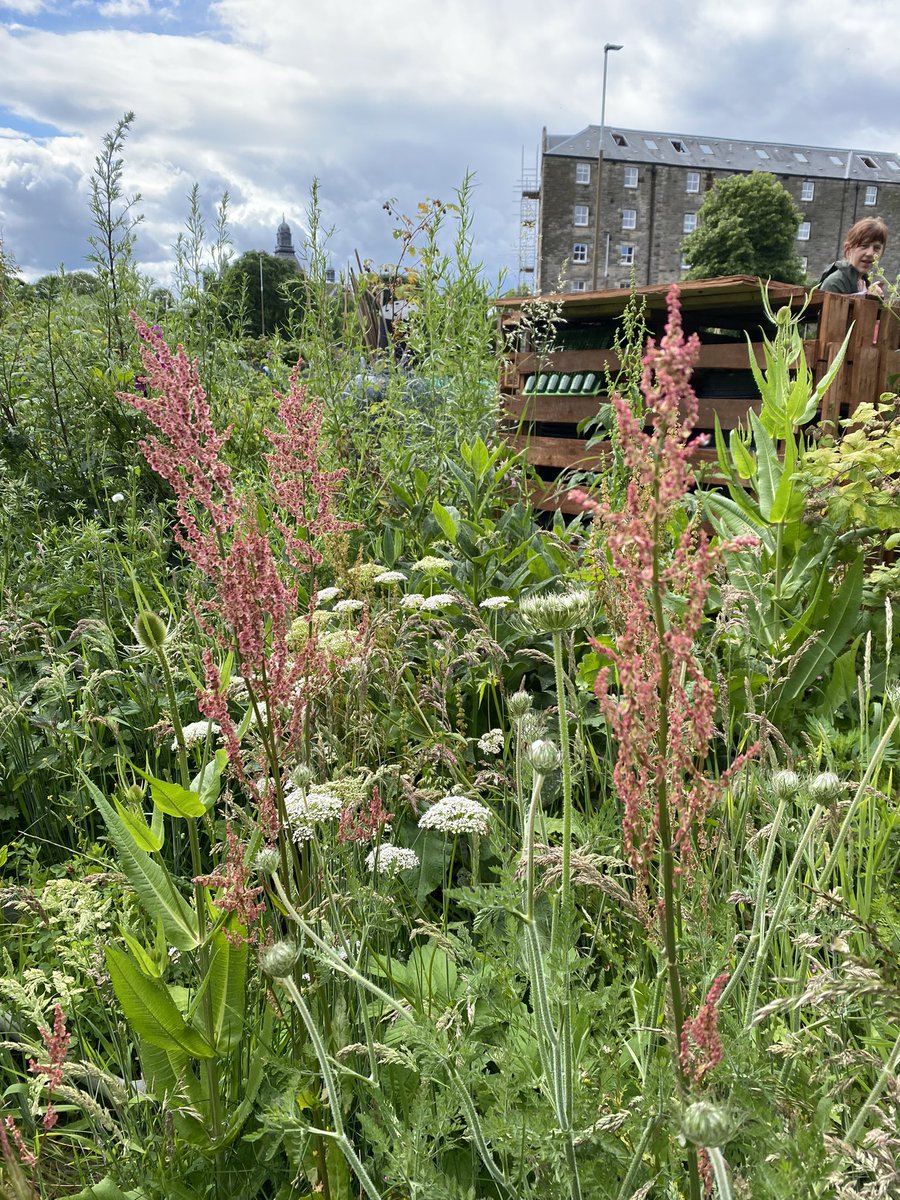 Nina Morris tweet media