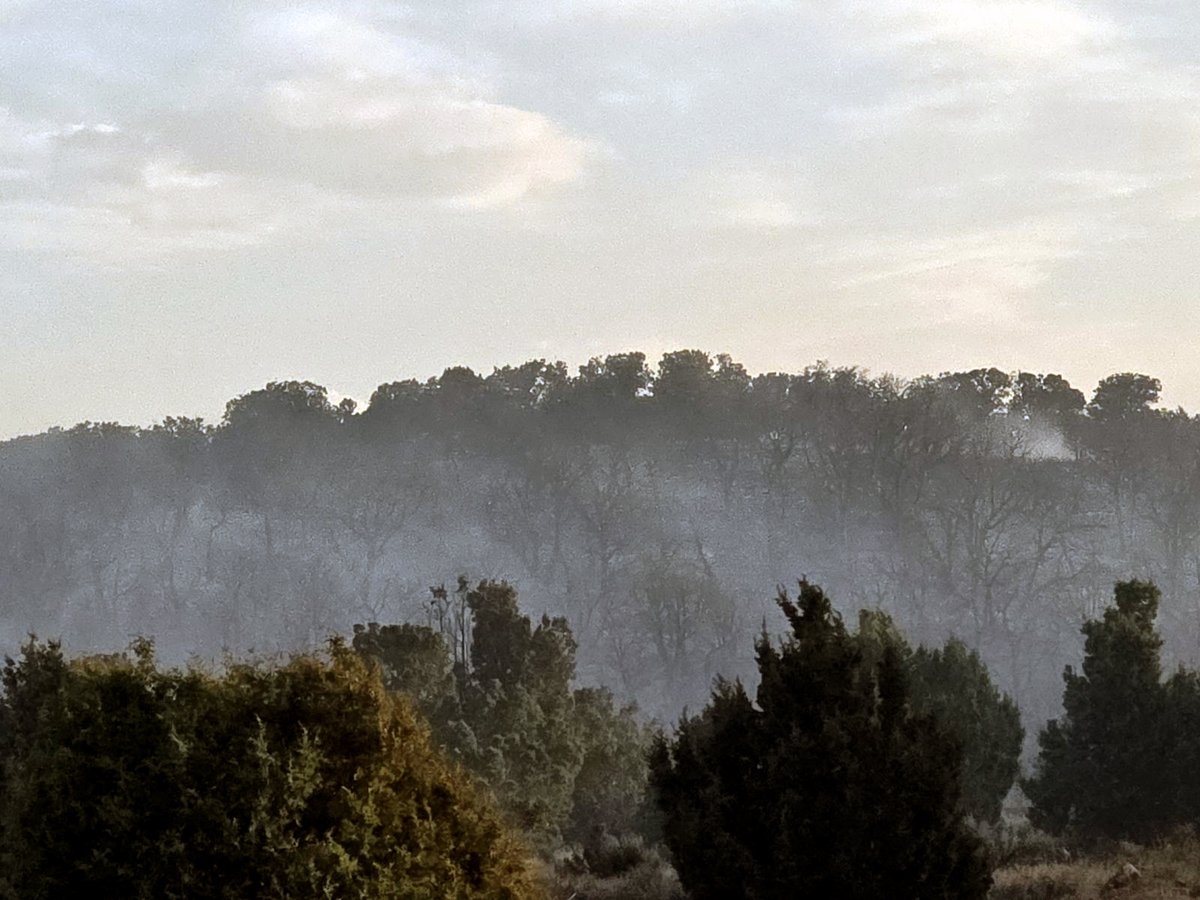 UtahWildfire's tweet image. #BigDrawFire in Duchesne Co. est. at 500 acres. Burned actively until 2:30 a.m. 20-30 Neola residents chose to evac overnight based on possible fire spread; most back home now. Cool weather, higher Rh should help firefighting efforts today. #2024FireYear

#blmgl